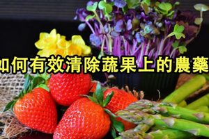 清除蔬果殘留農藥，哪些方法才靠譜？