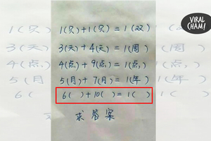 【求解 6( )+10( ) = 1( )】網民神回復, 全馬人民狂按讚笑翻了！