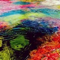 世界上最夢幻的五色彩虹湖《Cano Cristales》沒看過你就白活了！
