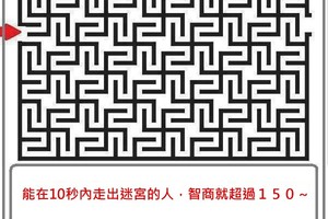 如果能在１０秒內走出迷宮，那你的智商就超過１５０！