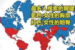 22張【只用藍色和紅色】就能告訴你全世界的數據的超猛地圖！