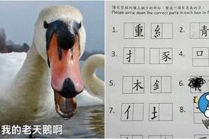 小三作業考「中文拼字」難度超高打趴碩士 網友怒：是想玩死誰？