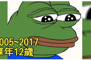 網友悲痛！這隻網路上最紅的悲傷青蛙「現在已經死了」，原因竟是川普對他做了「這件事」！