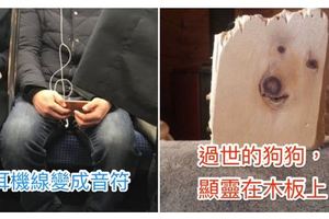 8張讓你完全瞭解「辛龍中2億樂透根本不算什麼」的超顯靈神蹟照片！#8被神選中的便便實在太誇張了！