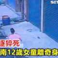 女童遭土狗追逐猝死出生喪父扛家務