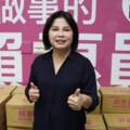 綠營初選壞同志感情 台南立委選情難料