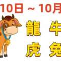 12生肖一周（10.10~10.16）