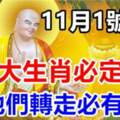 11月1號開始，這九大生肖必定翻身，請為他們轉走必有大財