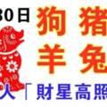 12月30日生肖運勢_狗、豬、蛇大吉