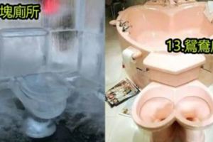 這些27個世界排名第一的任性廁所！這個在大街上透明的廁所你敢挑戰嗎？