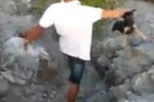 扯！把狗丟入湖裡餵鱷魚。網友痛批：毫無人性，惡魔來的