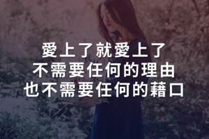 愛上了就愛上了，不需要任何的理由，也不需要任何的藉口