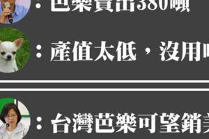 芭樂有望銷美 不問國政，只問芭樂?農業四大寇諷民進黨要如何轉彎?