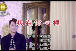 陳隨意vs謝宜君-我在你心裡【KTV導唱字幕】