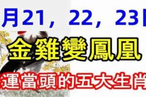 8月21，22，23日金雞變鳳凰，鴻運當頭的五大生肖