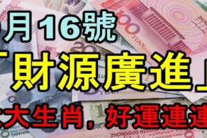 9月16號（財源廣進）六大生肖好運連連