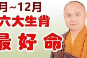 9月~12月，六大生肖最有福，最好命