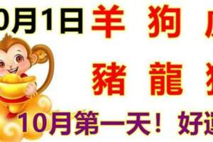 10月1日生肖運勢_羊、狗、虎大吉