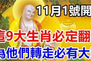 11月1號開始，這九大生肖必定翻身，請為他們轉走必有大財