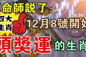 12月8號開始頭獎運的四大生肖