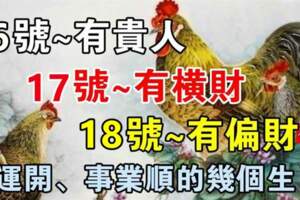 12月16.17.18號有貴人、有橫財、有偏財的生肖