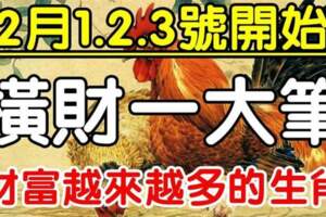 2月1.2.3.號開始橫財一大筆，財富越來越多的生肖