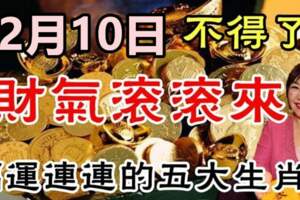 2月10日財氣滾滾來，福運連連的五大生肖