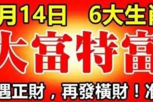 9月14日大富特富的生肖，先遇正財再發橫財