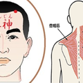  按揉「頭部六秘穴」只要一根手指打通經絡，頭痛、浮腫、「頸肩僵硬」自救不求人！