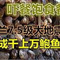 紐西蘭7.5級大地震 震出比椰子還大力的鮑魚！