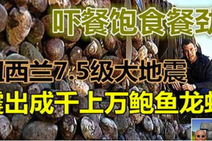 紐西蘭7.5級大地震 震出比椰子還大力的鮑魚！