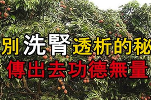 告別洗腎透析的秘方 傳出去功德無量 