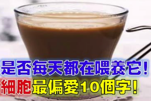 癌細胞最偏愛10個字，你是否每天都在餵養「它」？ 