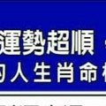 2017年，運勢超順，無往不利的人生肖命格