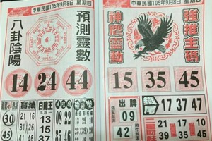 9/8 港六合 【神鷹靈動，東濟宮】多張選擇讓你開心看234星。參考。