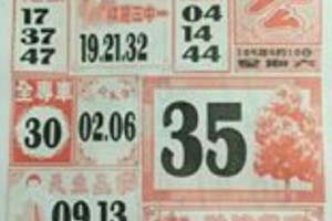 9/10 港 六合.（大樹公，福多寶，馬上發，發現金，大勝利，龍報，福籤，鳴報）重點。配出234星，參考，參考。