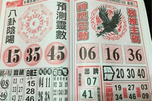 9/13 港 六合.（神鷹靈動，虎爺，靈山寺，慶安宮，拆字，不出天地卦）。喜歡何數自由配，配出234星，參考，參考。