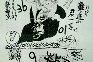 9/13 港 六合.（慶安宮，三聖宮，靈山宮，天皇宮，玄子宮，濟公禪堂，二林，開天祖）。喜歡何數自由配，配出234星，參考，參考。