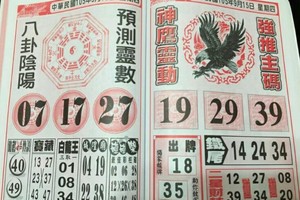 9/15 六合 【神鷹靈動】參考。。參考