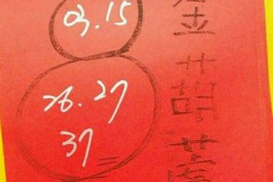 9/17 港 六合.（金葫蘆，韓信爺，財神送財報）。喜歡何數自由配，配出234星，參考，參考。