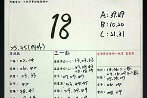 9/20 港 六合.（普濟佛堂石頭公，天師府，濟雲宮，茄萣，香港早報，錢員外，發現金，震興宮，財神符報）。喜歡何數自由配，配出234星，參考，參考。