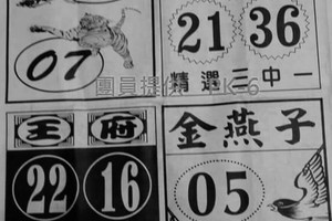 9/227六合 【石頭公，好彩運，福德祠，玄子宮，】。看見何數就是對的。有緣者得。參考。參考。