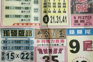 9/27 六合 【台北港報，聯贏彩報，錢員外，港天下，國際時報】殺豬用。參考。參考。。
