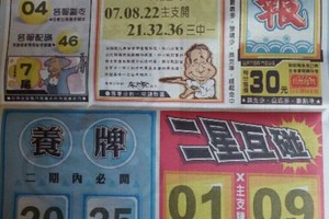 10/13 港 六合.（水報，武兌宮，震興宮，溪底，開天祖，子元宮）。喜歡何數自由配，配出234星，參考，參考。