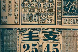 10/15 六合 【石頭公，好彩運，武報，中國少民報】超殺豬版。要拚才有錢。參考。參考。