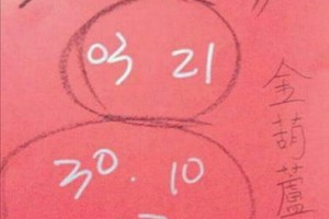 10/22 港六合 【金葫蘆，韓信爺，大勝利，香港早報，照眾寺，天地宮，鎮龍宮，龍華彩報】多張財報讓你參考，參考。