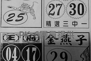 11/1 港六合 {石頭公，好彩運，碼報}多張財報讓你參考，參考。