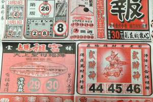 11/1 港六合 【圓報，聯贏彩報，台北港報，明牌篇】多張財報讓你參考，參考。
