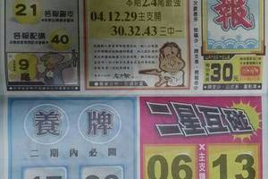 11/3 港六合 【水報，山中人，財報】多張財報讓你參考，參考。
