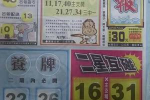 11/5 港六合 【水報，港天下，錢員外】多張財報讓你參考，參考。